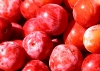 Prunus americana
