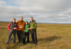 Core berry team on the tundra with the fruits of our labor. Pictured left to right: Drs. Courtney Flint, Josh Kellogg, Mary Ann Lila, and Gary Ferguson. Photo credit: Joshua J. Kellogg.
